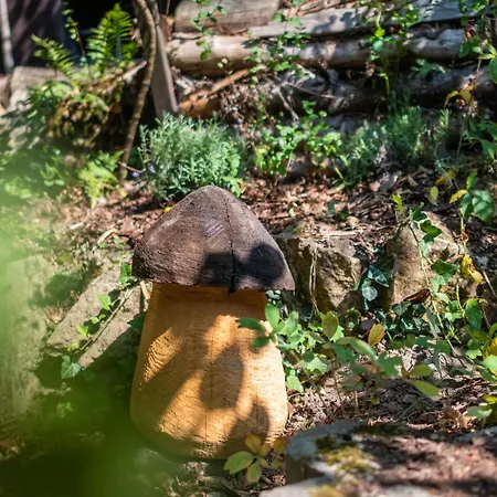 度假居 Haus Am Wald - Mit Garten & Hund In Der Saechsischen Schweiz 巴特尚道