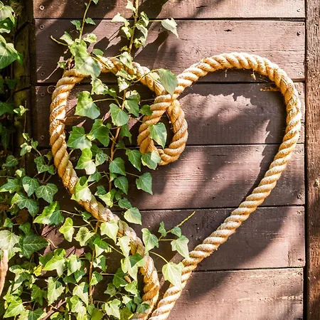 Haus Am Wald - Mit Garten & Hund In Der Saechsischen Schweiz Vakantiehuis Bad Schandau